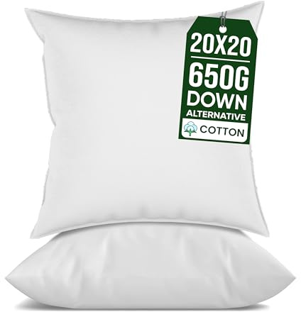 Raajsee Cushion Inserts 50cm x 50cm / 20 x 20 Inch (white, Pack of 2)–Square Cushion Pads Stuffer Filler - Decorative Sofa Cushion Inner, Couch Throw Pillow Stuffing