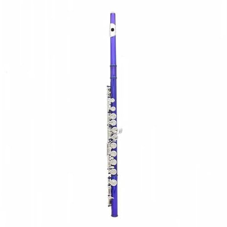 tvärflöjt instrument 16-håls professionell flöjt C-nyckelflöjt Musikinstrument present