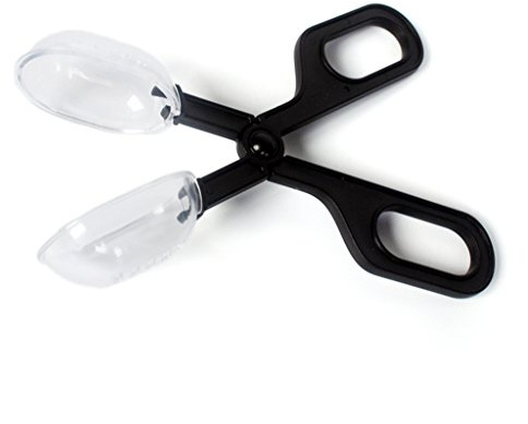 Oxtxuzdm Pinza de alimentación para reptiles, anfibios, pinzas, pinzas, herramientas para atrapar la alimentación de mascotas, suministros de anfibios