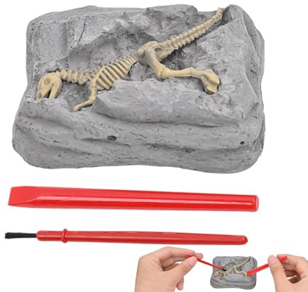 Genérico Kit de creusement de Dinosaures - Jouet d'excavation pour | Modèle d'apprentissage éducatif, activités d'artisanat Squelette pour, archéologie Stem, Cadeau