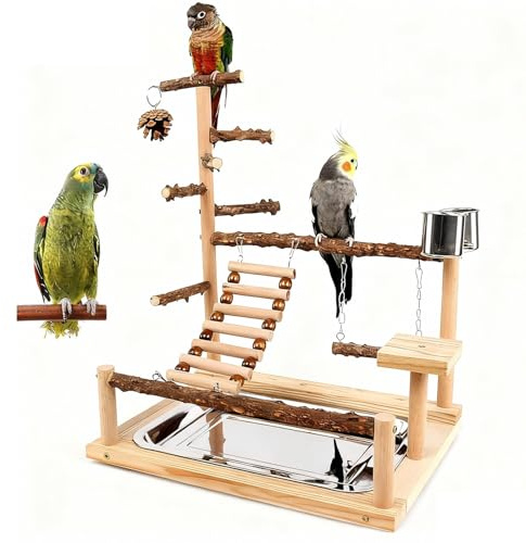 Bird Playground, Parrot Perch Stand, Natural Wood Play Stands for Cockatiel Wood Perch Gym Playpen Ladder with Tray and 2 Stainless Steel Cups, Bird Cage Accessories, Parrot Swing (Wood color A)