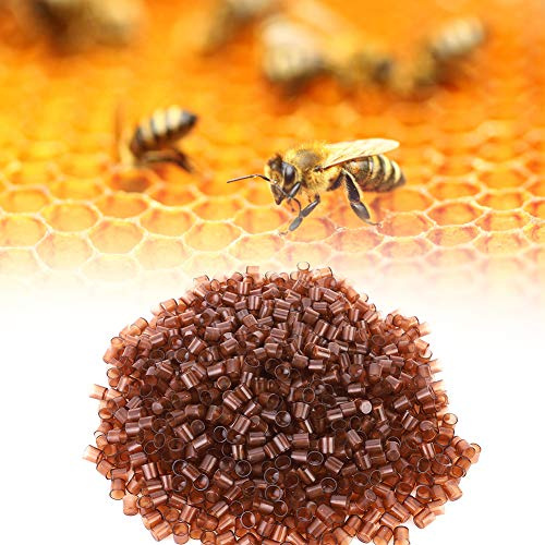 Cikonielf 1000 Pezzi Tazze per Apicoltura Tazze per Cellule Set di Utensili per sistemi Queen Breeding System Strumenti per Accessori per Queen Breeding Tool Attrezzature per