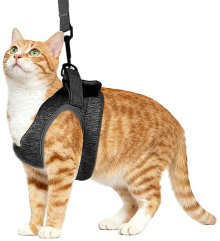 VZU Katzenleine Mit Geschirr Für Katzen, Katzengeschirr, Ausbruchsicheres Katzengeschirr Set Mit Katzenleinen, Verstellbar Katzenweste Für Einen Brustumfang Von 28–33 cm Geeignet Katzen/Welpen M