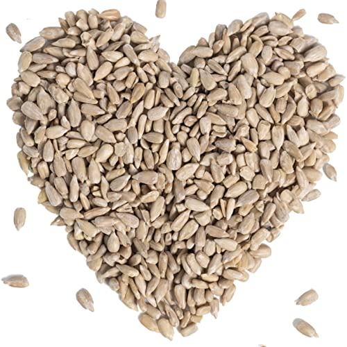 Lyra Pet® | Sonnenblumenkerne Geschält 25 kg | HK Bulgarien | Wildvogelfutter für das Ganze Jahr | Hochwertiges Schalenfreies Streufutter | Schnabelgerechter Gourmetsnack | Für Alle Körnerfresser