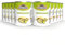 SALYSOL | Pistachos aperitivos salados envasados al vacío 10x36 gramos.