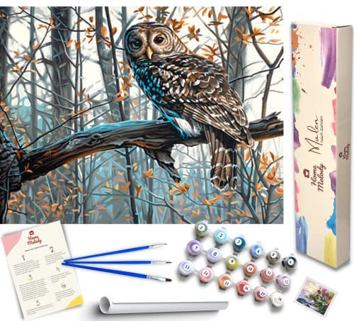 Home Melody Malen nach Zahlen Erwachsene ohne Rahmen - 40x50 cm, Eule im Wald, DIY Öl-Gemälde Kit mit Zubehör, Set mit Leinwand, Ölfarben, Pinsel, Geschenk Bastelset Erwachsene Malen nach Zahlen Tiere
