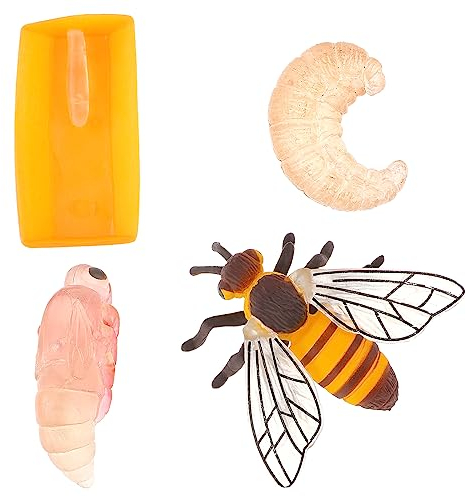 Cobee Lebenszyklus Figuren von Schmetterlingen, 4 STÜCKE Tierlebens Wachstumszyklus Modell Realistische Tierfiguren Insektenerziehung Wachstumsstadium Modell Kunststoff Insektenkäfer (Honigbiene)