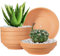 Laergin Lot de 6 Pots en Terre Cuite Peu Profonds en Terre Cuite avec Trou de Drainage en Terre Cuite avec Trou de Drainage, Pots de Fleurs en céramique pour Plantes d'intérieur/extérieur 16 cm
