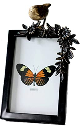 luckxuan Fotorahmen/Bilderrahmen Europäische Retro Kupfer Blume Zweig Vogel Foto Rahmen Wohnzimmer Schlafzimmer Nachttisch Tabelle Foto Rahmen Persönlichkeit kreative dekorative Ornamente Leerrahmen