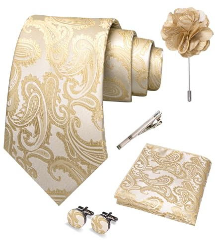 JEMYGINS Ensemble de cravates brodées Paisley pour homme, mouchoir de poche, pince à cravate, boutons de manchette, pour mariage, fête, affaires, multicolore