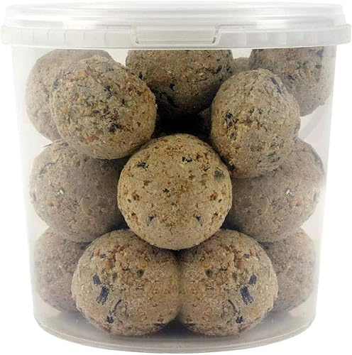 SQUAWK Bolas de Grasa de sebo | Comida Premium para Aves Silvestres | Fórmula Mejorada Durante Todo el año | Mezcla Natural, Alta en energía y Rica en proteínas | Llena de Grasa, Fibra (10L)