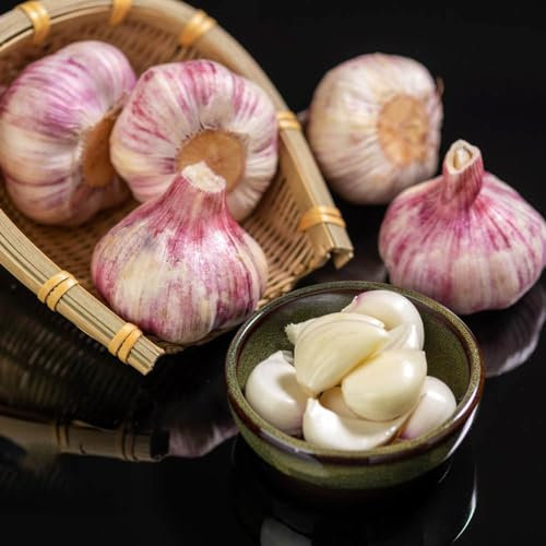50 Pcs Knoblauch Samen Zum Pflanzen, Winterknoblauch, Pflanzknoblauch, Saatgut Wintergemüse, Kräuter Pflanzen Wildblumensamen (Allium Sativum) Heilkräuter Samen, Kräuterpflanzen Gartenkräuter