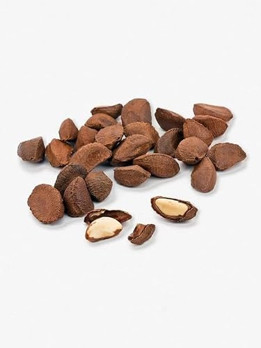 Superpet Premium Brazil Nuts in Shell, Natural Squirrel Food Unsalted 0.5kg | Real Nuts, Parrot Food Enrichment Treat, Ideal For All Wild Birds & Foraging Garden Wildlife Species, Natural Unsalted Treat