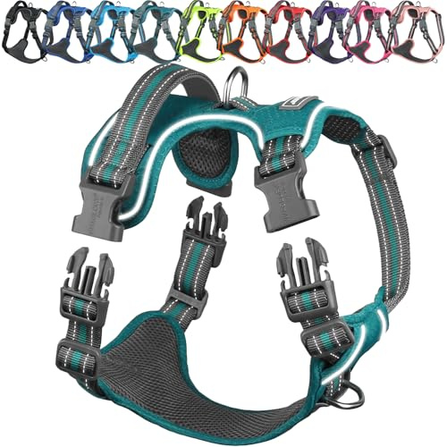 VIVAGLORY No Pull Dog Harness Vest Harness, XS, Hunter Teal - Patterned