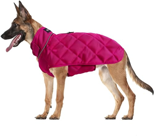 HCHYEY Weighted Dog Vest, Tactical Weight Coat with Beads for Dogs Anxiety- Relieve Stress, Build Muscle & Optimize Health, Premium Heavy Duty Dog Training Jacket for Exercise and Strength (Red, M)