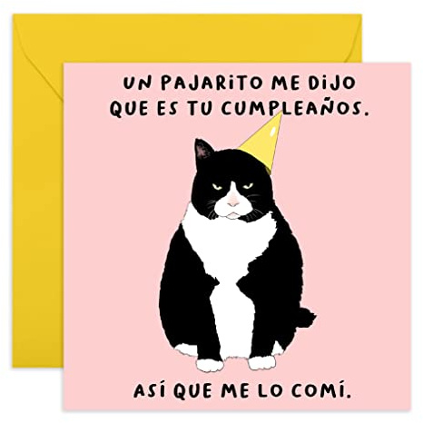 Central 23 Tarjeta de cumpleaños divertida - “Un pajarito me dijo que es tu cumpleaños” - Tarjeta de cumpleaños con un gato - Graciosa - Para hombres mujeres