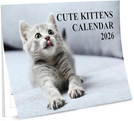 A4 Cute Kittens Calendar 2026 UK 12 Month to View Cute Calendar 2026 UK A3 When Open wall Calendar 2026 Cats Papa Prints