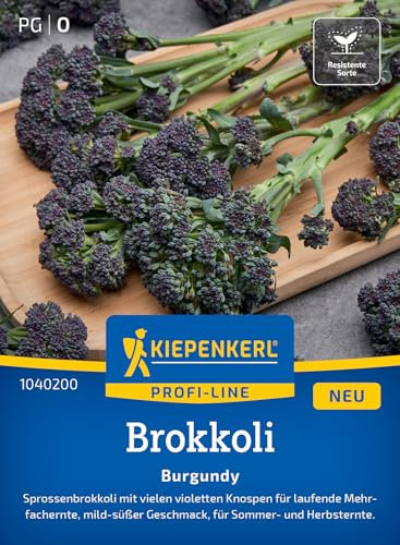 Kiepenkerl Profi-Line Brokkolisamen Burgundy 1040200 - Brokkolisprossen - violette Knospen - Mehrfachernte - Samen Gemüse, Saatgut, Gemüsepflanzen