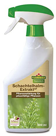 Florissa Schachtelhalm-Extrakt 500 ml
