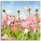 Pixxprint Glasbild, Wandbild auf Echtglas, Blumenwiese Mohnblumen, 40x40 cm, inkl. Aufhängung und Abstandshalter