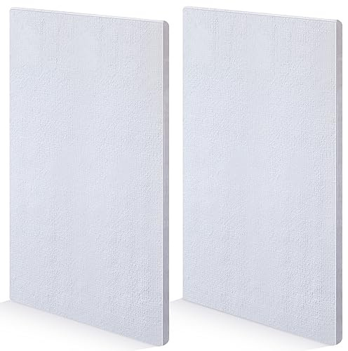 Sasylvia Keramikfaser-Isolierplatte, 30,5 x 20,3 x 1,1 cm, feuerfest, schwer entflammbar, hitzebeständig, Hochtemperaturwerkzeug für Holzöfen, Kamine, Pizzaöfen, Öfen, 2 Stück