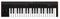 IK Multimedia iRig Keys 2 - Universell einsetzbares MIDI Keyboard für iOS, Android, MAC und PC, 37 anschlagdynamische Mini-Tasten, schwarz