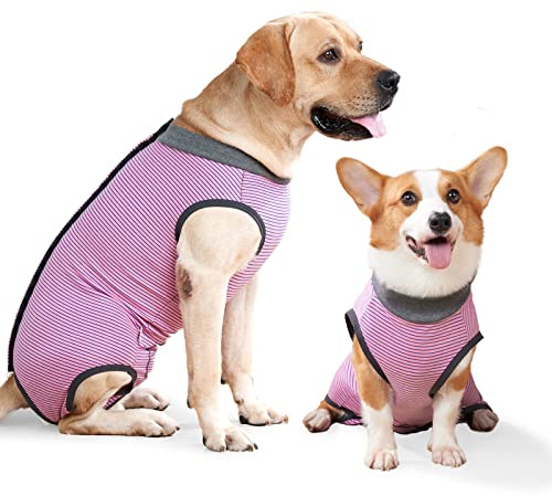 LIANZIMAU Dog Sterilisation Body for Dogs Post-Surgery Female Castration Male Medical Costume for Dogs M (Pack of 1)