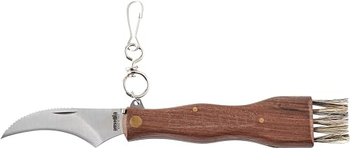 AUSONIA COUTEAU À CHAMPIGNONS DE 21 CM COUTEAU MYCOLOGIQUE PLIANT POUR LE CHAMPIGNON AVEC LAME EN ACIER INOX AISI 440 DE 8 CM ET MANCHE EN BOIS