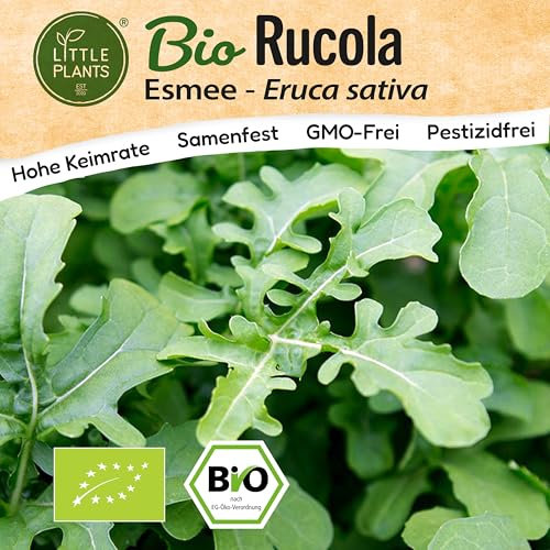 Little Plants BIO Rucola Samen 300 Rucolasamen Esmee Rukola Gemüsesamen für Gemüsegarten Samenfest Gemüse Samen für Küche, Balkon und Garten