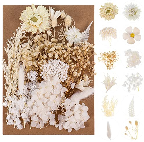 Halinuia Bouquet de Fleurs Séchées Naturelles Vraies Fleurs Pressées Décoration pour Bricolage Résine Epoxy Bijoux Floraux Nail Art DIY Bougie Fabrication Artisanale Scrapbooking(Blanc)