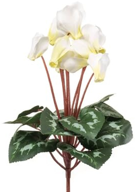 FloristryWarehouse Alpenveilchenstrauß aus Kunstseide, 8 Blütenköpfe mit Blättern, 30 cm, Weiß