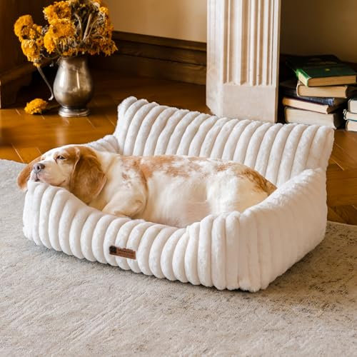 MEWOOFUN Hundesofabett - Katzenbetten für Hauskatzen Weich und Flauschig, Katzensofabett Kleines Hundebett für Hunde und Katzen, Beruhigendes Hundebett (Hafermilch, 76x53x30cm)