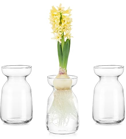 Glasseam Hyazinthen-Glasvase für Blumen: Zwangsknospenvase, Set mit 3 transparenten kleinen Vasen für Tafelaufsätze, dekorative Blumenvasen für Dekoration, Hydrokultur-Pflanzgefäß für Tulpenzwiebeln,