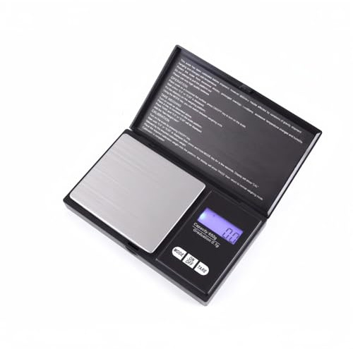 RAYPOW Báscula Digital de Precisión 500g/0.01g Mini Balanza de Joyería con Pantalla LCD, Función Tara, Unidades Múltiples, Báscula Portátil de Acero Inoxidable para Cocina, Laboratorio y Monedas