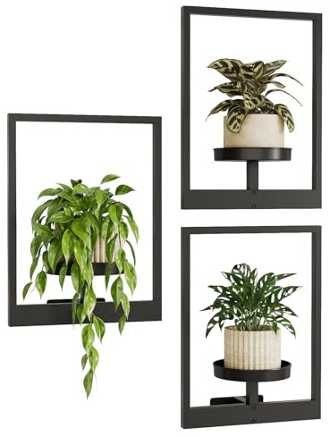 Bamworld Fioriere da parete per piante da interno Fioriera da appendere per piante da interno Supporto per piante da parete per interni Appendiabiti per finestre Mensole per piante per soggiorno