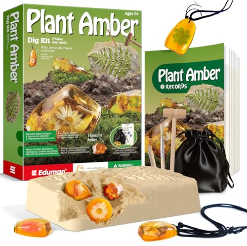 EDUMAN Pierre précieuse d'ambre - Kit d'Excavation de Fossiles, fossiles d'plantes en résine Artificielle, kit de fouille avec Outil de creusement, Cadeau pour Enfant 6+ Ans