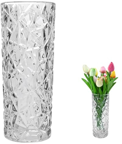 QEEYON Jarrón de flores de cristal de 25 cm de alto, 10 cm, jarrón para tulipanes transparente, jarrón de cristal cilíndrico con patrón de hielo nórdico, jarrón pequeño para decoración de mesa en