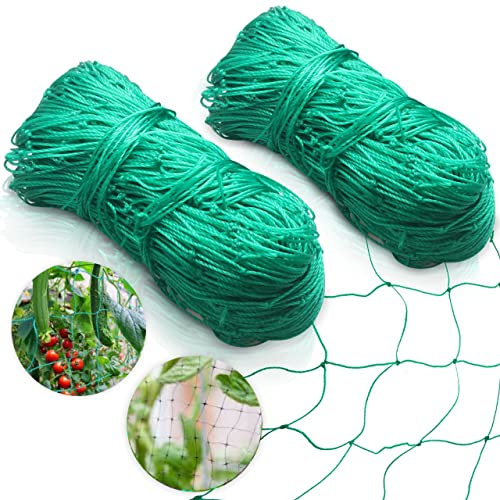 AINN Garden Netting, 2mx5m, Protects Fruits & Plants, 2 Pack