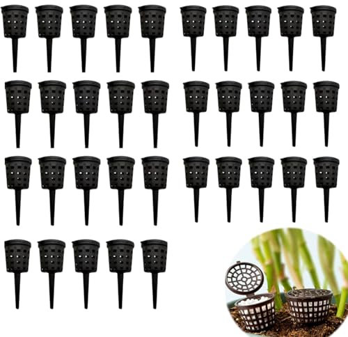 Lot de 50 boîtes d'engrais pour plantes, panier pour bonsaï de jardin, portable, récipient pour nutriments avec couvercle, paniers à engrais. Convient à toutes les plantes