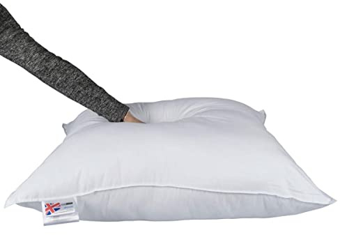 HOMESCAPES Oreiller en Plumes et Duvet d’Oie et Coton, 60 x 60 cm, Oreiller Naturel Moelleux Hypoallergénique Anti-acariens