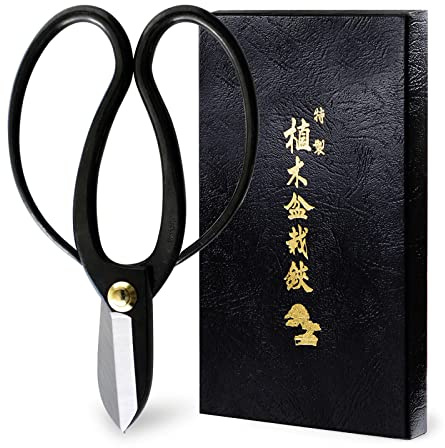 Wazakura Koryu Ikebana Scissors 6.7in, Japanese Black Carbon Steel Shears