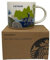 STARBUCKS Vietnam Mug YAH You are Here Collection - 14 fl oz / 414 ml