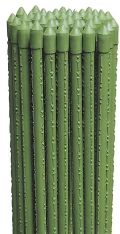 Virsus 50 Canne in Acciaio con Rivestimento in Plastica Verde, Lunghezza 90 cm, diametro 11 mm, Stecche Sostegno per piante Rampicanti, Ortaggi, Pomodori, per giardino, orto -8765F
