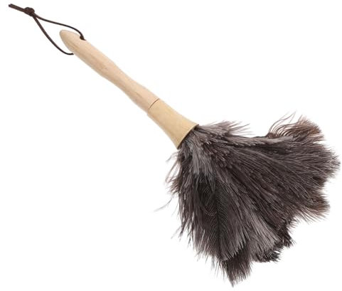 Mikinona Spolveratore in Spolverino Per Auto e Casa Strumento Per Pulizia Dei Mobili Spolverino Portatile e Riutilizzabile Adatto Scaffali Tende e Superfici Delicate