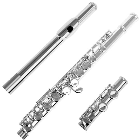16 Håls C Flöjt Förnicklad Mässingsfärgad Träblåsinstrument Nybörjarflöjt | Flöjt(Silver)