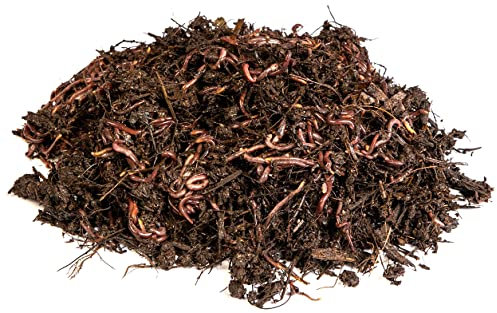 multiHuerto KL500 - Kit Inicial de lombrices Rojas californianas