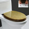 MSSD WC Sitz Mit Absenkautomatik, Toilettendeckel Oval 36 * 42Cm, Klobrille Viele Schöne Glitzer WC Sitze Zur Auswahl, Hochwertige Und Stabile Qualität Aus Harz,Gold