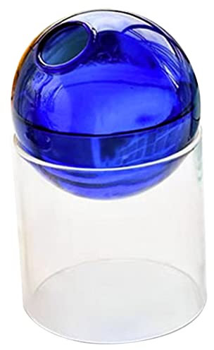 Hydroponics,Glasflaska Hydroponic Terrarium Container,Bubble Vas Hydroponic Vas Bordsskiva Vas Blomster Vas Kulor Små vaser Växtförökning