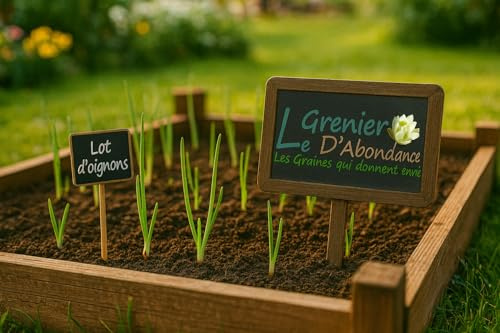 Lot de 850 graines à semer - Le Grenier d'Abondance - Fan d'Oignons - 8 sachets individuels