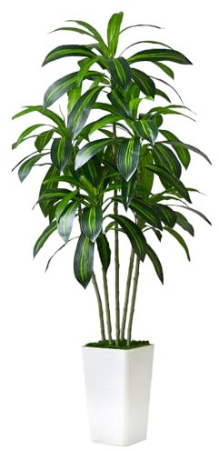 Artificial Dracaena Plant Indoor 6FT Fake Tree with White Tall Planter, Tall Fake Floor Plant in Pot, Artificial SilkPlant for Home Decor Office Living Room Porch Patio Housewarming(5 Trunks 180CM)
